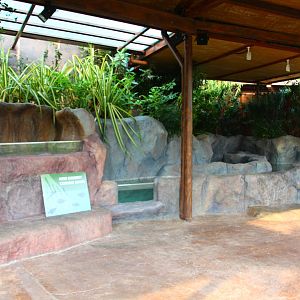 New Mangrove / Coastal display (opening end-2015)