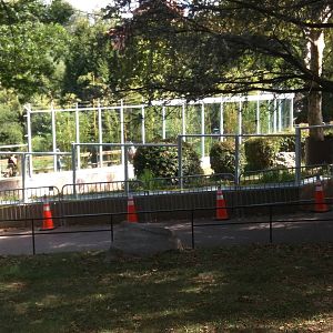 Gorilla exhibit renovation