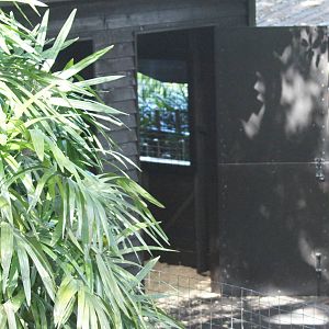 Chital deer exhibit additions