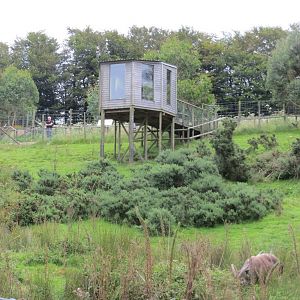Sitatunga enclosure 090815