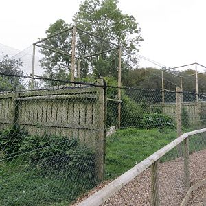 Heron and Ibis aviaries 090815