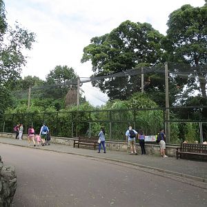 Flamingo enclosure 240815