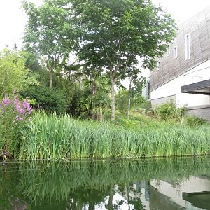 Budongo Trail - outdoor exhibit 240815