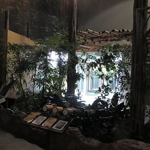 Budongo Trail - indoor exhibit 240815