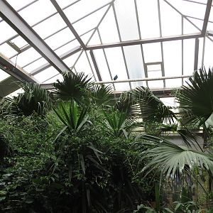 Brilliant Birds indoor view 240815