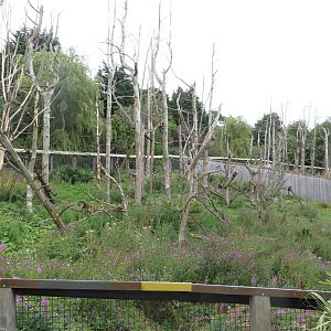 Living Links exhibit 240815