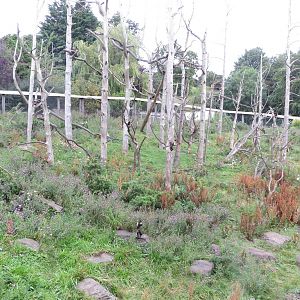 Living Links exhibit 240815