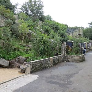 Former site of cat enclosures 240815