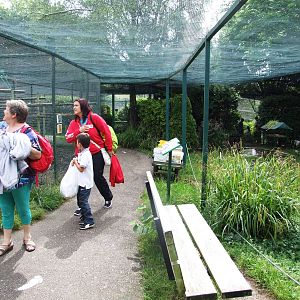 Walkthrough Aviary at Santillana del Mar, 13/06/15