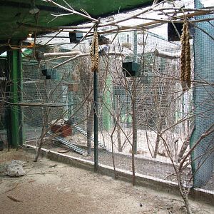 Bird House Interior at Santillana del Mar, 13/06/15