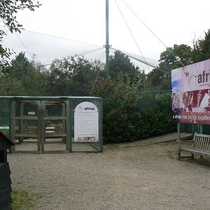 View Of Entrance To 'Into Africa'