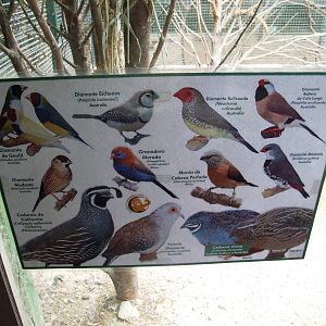 Bird House Signage at Santillana del Mar, 13/06/15