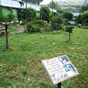 African Walkthrough Aviary at Santillana del Mar, 13/06/15