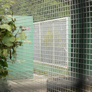 View Of Off-show Aviaries