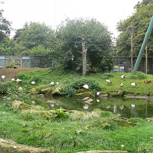 View Of Into Africa.