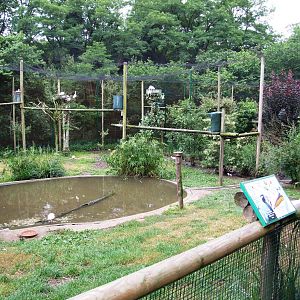 Ibis and Pelican Aviaries Interior at Santillana del Mar, 13/06/15