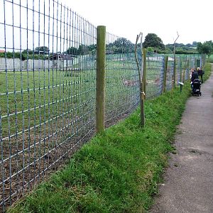 Deer Paddocks at Santillana del Mar, 13/06/15