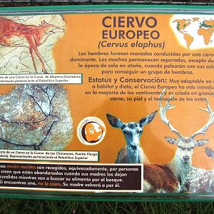 Quaternary Park Signage Example at Santillana del Mar, 13/06/15