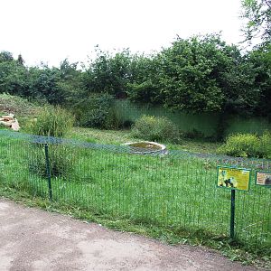 Alpine Marmot Enclosure at Santillana del Mar, 13/06/15