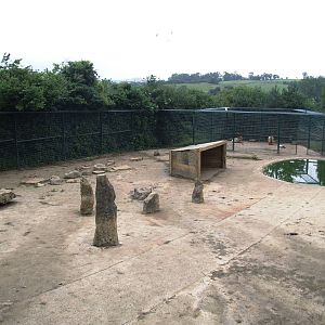 Brown Bear Enclosure at Santillana del Mar, 13/06/15