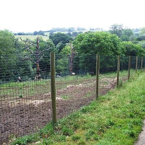 Reindeer Enclosure at Santillana del Mar, 13/06/15