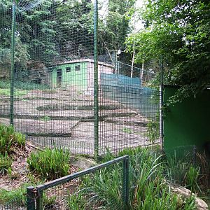 Iberian Wolf Enclosure at Santillana del Mar, 13/06/15