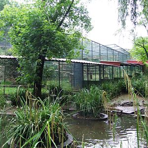 Leopard Enclosure Viewing Area at Santillana del Mar, 13/06/15