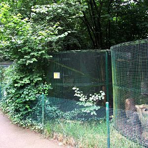 Small Carnivore Enclosures at Santillana del Mar, 13/06/15