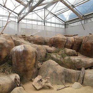 Rock hyrax enclosure