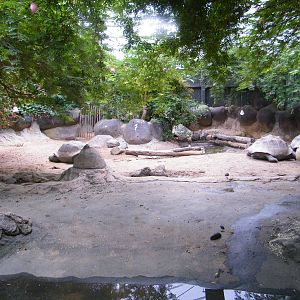 Tortoise enclosure