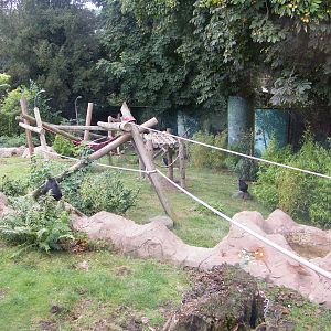 View of the macaque enclosure