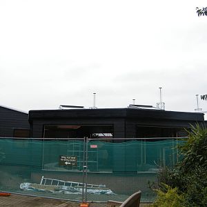 Work on the chimp house