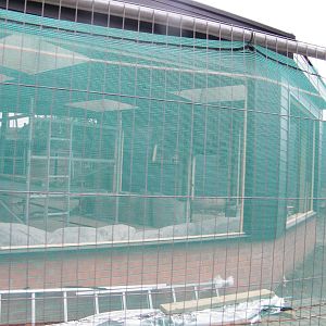 Work on the chimp house