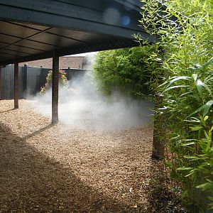New fog machines in orangutan forest