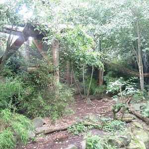 Tiger enclosure 240815