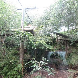 Tiger enclosure 240815