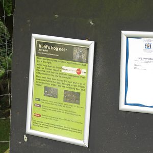 Example signage 240815