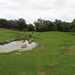 African Plains 240815