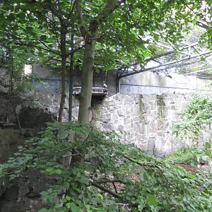 Stellers Sea Eagle aviary 240815