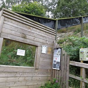 Pallas Cat enclosure 250815