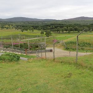 View of Snowy Owl enclosure and Main Reserve 250815