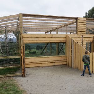 Current Snow Leopard enclosure 250815