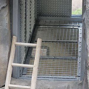 Islands progress - orang chute construction