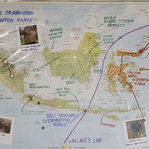 Islands progress - annotated map