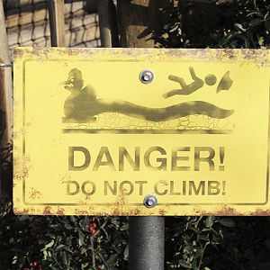 Islands progress - Dragon Bridge warning