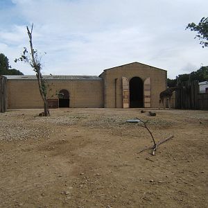 View of Giraffe House and Paddock
