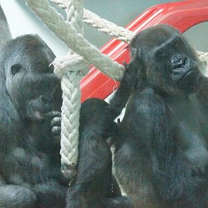 Mbeli, Mjukuu, Frala and Fabumi