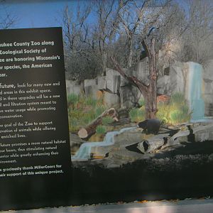 American black bear exhibit renovation