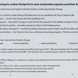 Carbon Footprint poster