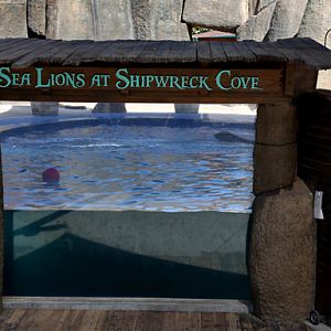 sea lion exhibit and stadium